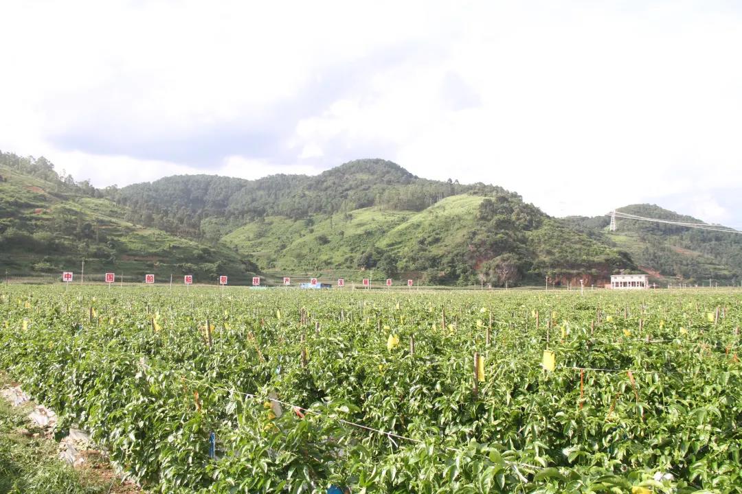 公海555000线路检测中心